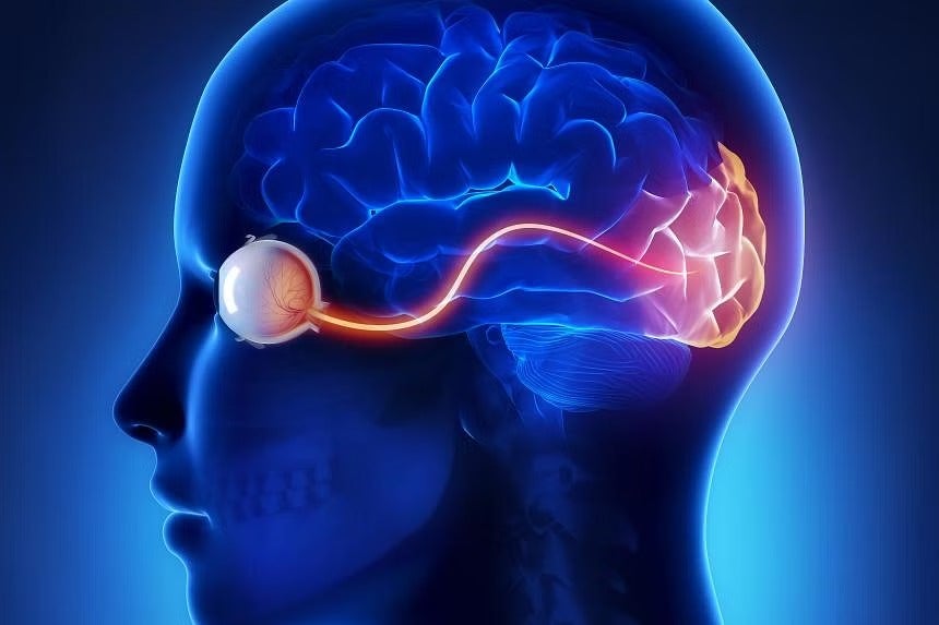eyes-can-be-windows-to-early-detection-of-alzheimers-disease-singapore-researchers-find