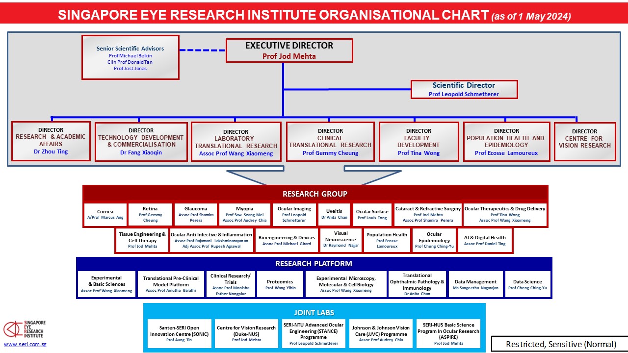Data Science Org Chart