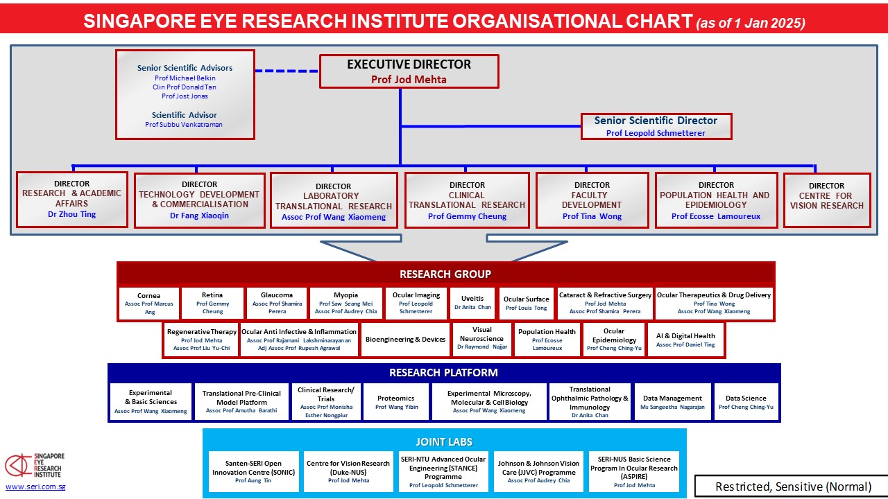 Data Science Org Chart