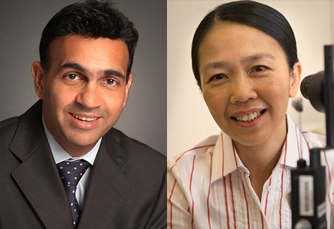 Nurturing Tomorrow’s Beacons in Eye Care