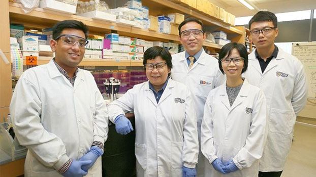 Dr Sudipto Bari,
research fellow,
Department of
Haematology,
SGH; Professor
Christina Chai,
head,
Department of
Pharmacy, NUS;
Associate
Professor William
Hwang, medical
director,
Department of
Haematology,
SGH; Associate
Professor Gigi
Chiu, assistant
head,
Department of
Pharmacy, NUS;
and Dr Zhong
Qixing, NUS.
ST PHOTO
JONATHAN CHOO