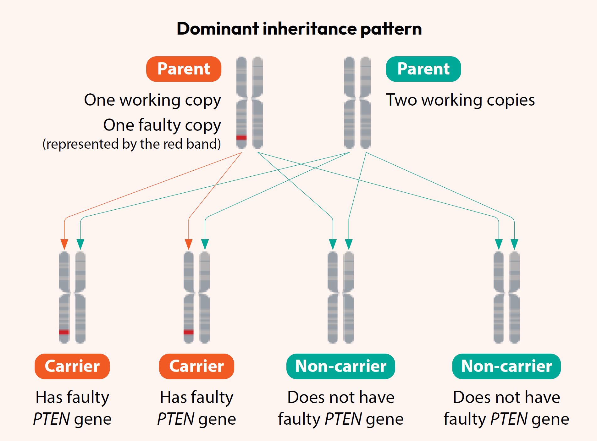 Dominant inheritance pattern