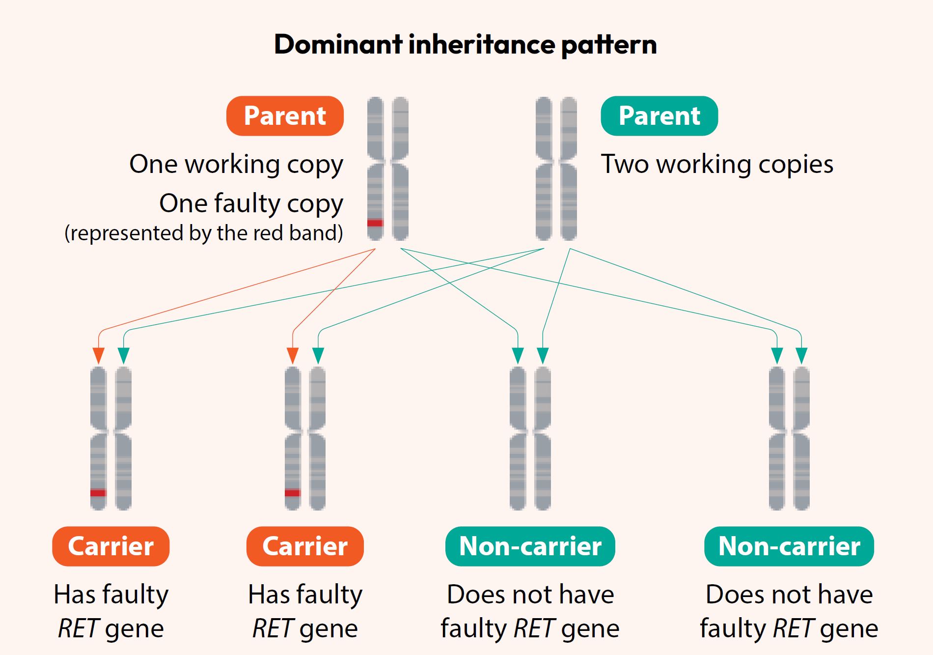 Dominant inheritance pattern