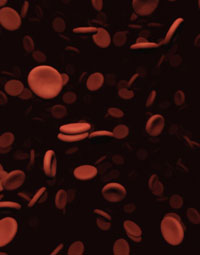 What is Anaemia? - Anaemia condition and treatments