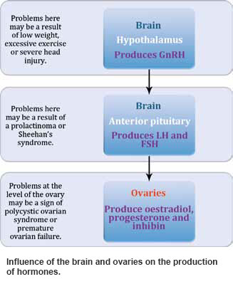 amenorrhoea causes