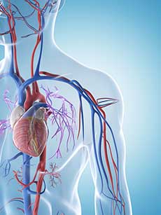 systemic vasculitis conditions & treatments